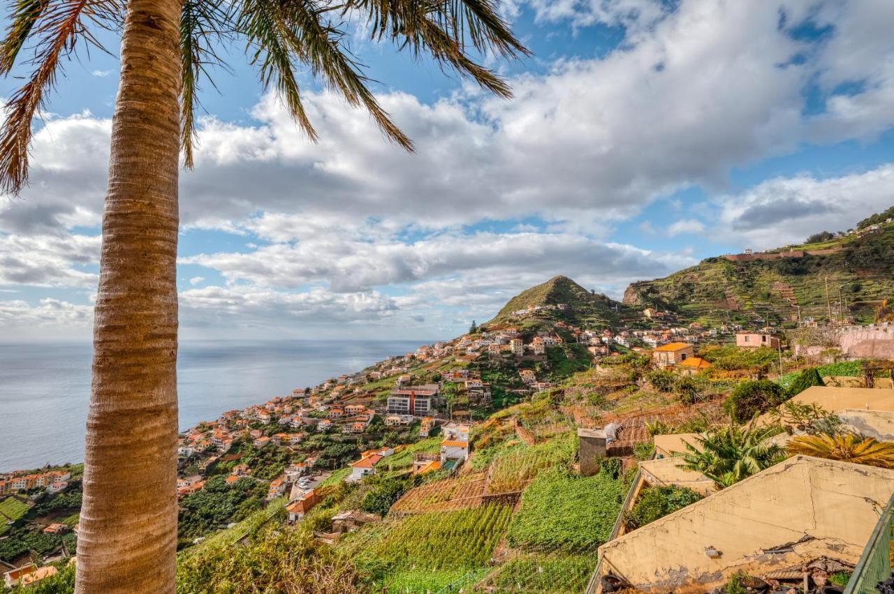 Vila Palm Tree House By Amazing Madeira Câmara de Lobos Exteriér fotografie